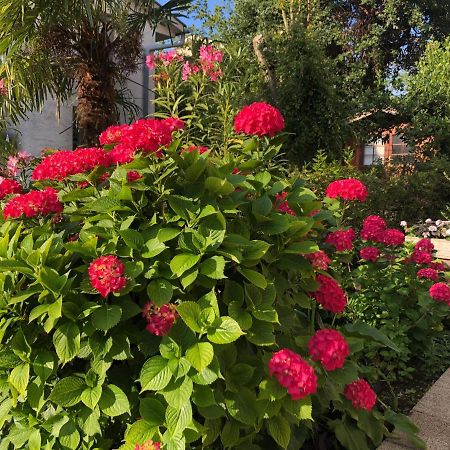 Casa Hortensia Нивице Екстериор снимка