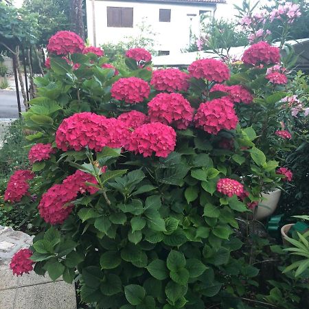 Casa Hortensia Нивице Екстериор снимка
