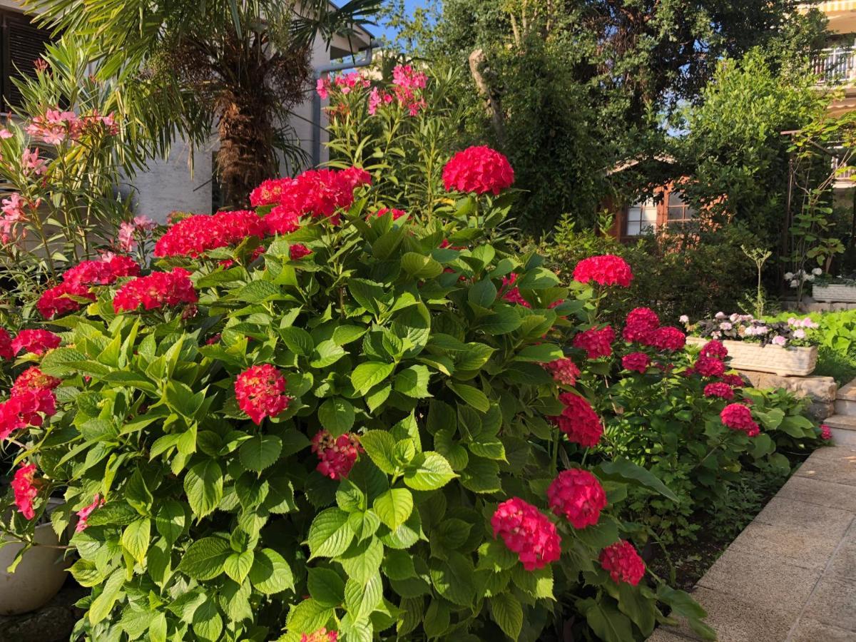 Casa Hortensia Нивице Екстериор снимка