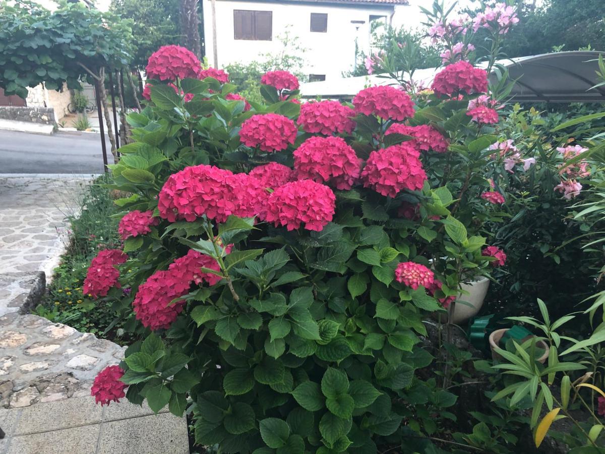 Casa Hortensia Нивице Екстериор снимка